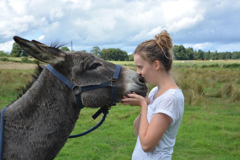 Whimsical Kisses