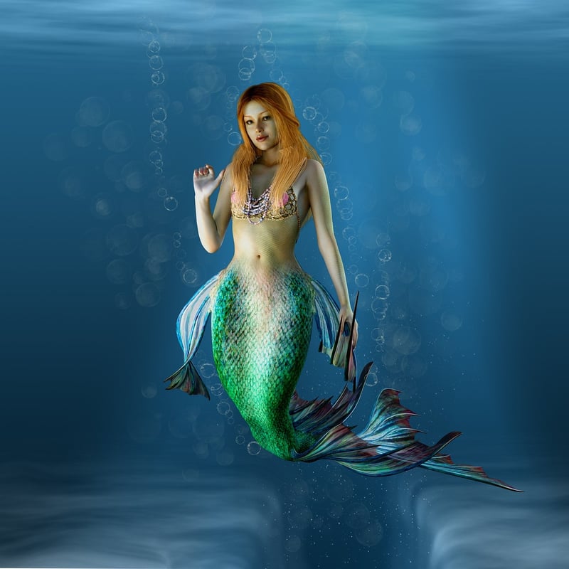 Mermaid Fashion