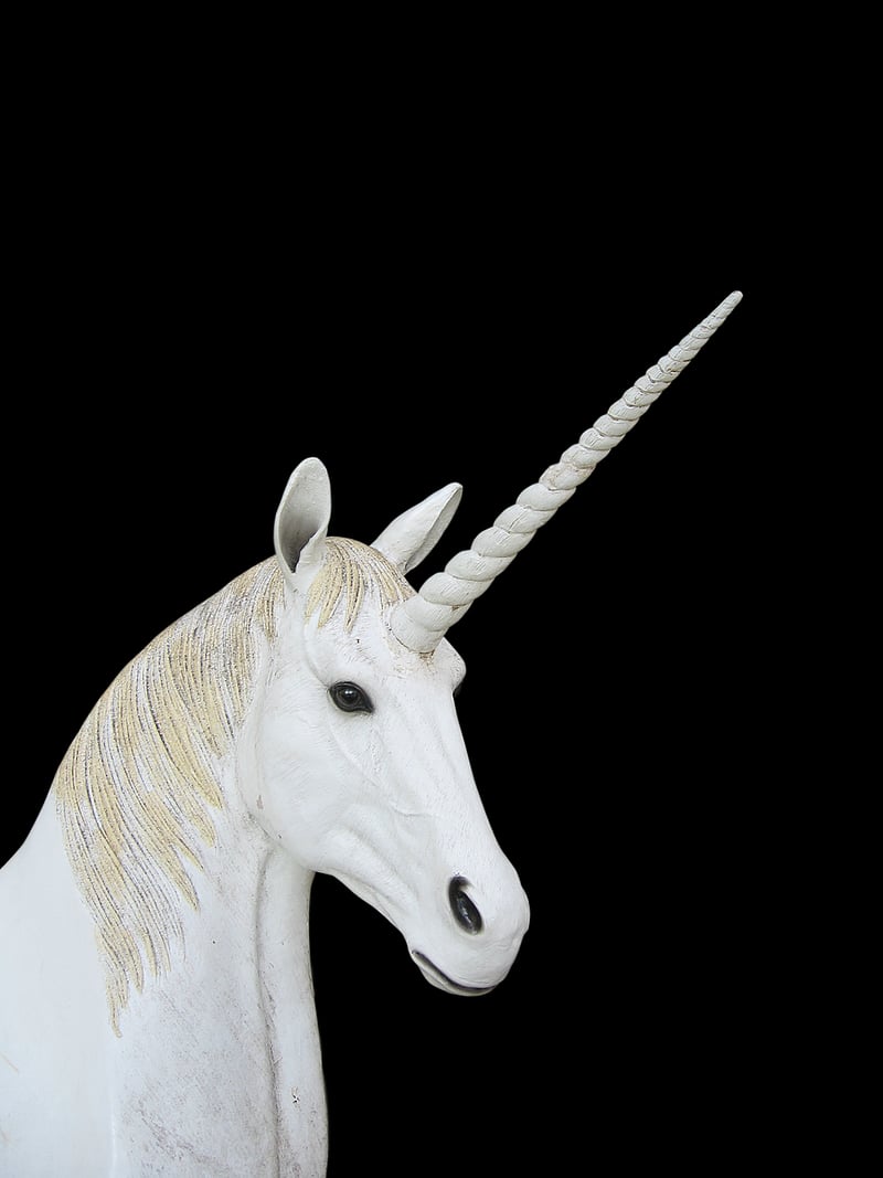 Acrobatic Unicorn