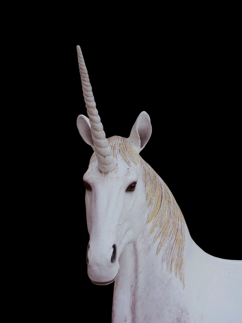 Acrobatic Unicorn
